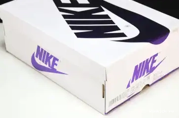 COURT AIR 1 JORDAN PURPLE WMNS 0424
